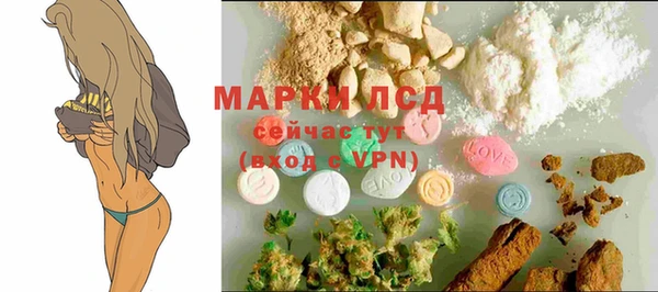 ГАЛЛЮЦИНОГЕННЫЕ ГРИБЫ Белокуриха