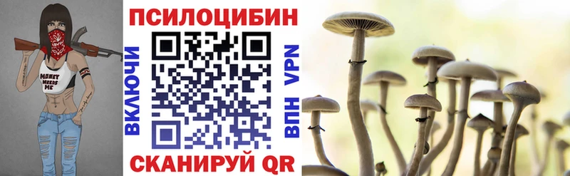 Псилоцибиновые грибы Cubensis  Богучар 
